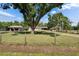 Exterior front yard view of home with chain link fence and mature shade trees at 2145 Limedale Rd, Lakeland, FL 33809