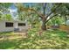 Expansive backyard featuring a large tree and new wood fence at 312 Palencia Pl, Lakeland, FL 33803