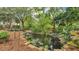 Picturesque backyard pond featuring koi fish, water lilies, and rock accents surrounded by greenery at 323 E Belvedere St, Lakeland, FL 33803