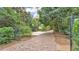 Backyard sport court with basketball hoop and lush landscaping at 323 E Belvedere St, Lakeland, FL 33803