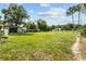 Large backyard with lush green grass and trees, offering ample space for outdoor activities at 3810 Harrelson Rd, Lakeland, FL 33810