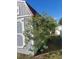 A backyard with a shed and some trees in light blue pots along a white wall at 455 Eagle Dr, Kissimmee, FL 34759