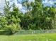 A lush, green yard with mature trees and landscaping offering privacy and a serene natural setting at 6357 Ashley Dr, Lakeland, FL 33813