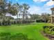 A sprawling backyard with a well-maintained lawn and manicured landscaping at 6542 Eagle Ridge Way, Lakeland, FL 33813