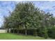 Backyard with mature trees providing shade and privacy, enhancing the natural beauty of the property at 13525 Gorgona Isle Dr, Windermere, FL 34786