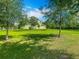 Spacious backyard featuring a well-manicured lawn, bordered by trees, perfect for recreation and relaxation at 13525 Gorgona Isle Dr, Windermere, FL 34786