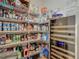 Walk-in pantry with wire shelves and wine refrigerator at 13525 Gorgona Isle Dr, Windermere, FL 34786