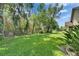 Expansive backyard features lush green lawn and mature trees, providing privacy and a serene outdoor space at 1003 Clearpointe Way, Lakeland, FL 33813
