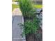Well-maintained garden bed featuring vibrant plants and lush greenery, adding to the property's curb appeal at 2005 Blue Lake Dr, Lakeland, FL 33801