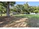 Expansive front yard featuring mature trees shading the residence at 2920 Audie Combee Rd, Lakeland, FL 33801