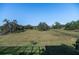 Expansive backyard featuring mature trees, lush green grass, and a tranquil view of the surrounding landscape at 3020 Crews Lake Dr, Lakeland, FL 33813