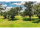Expansive grassy backyard with mature trees and plenty of room for outdoor activities at 3176 Pearly Dr, Lakeland, FL 33812