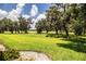 Expansive backyard with mature trees, offering ample space for outdoor activities and relaxation at 3176 Pearly Dr, Lakeland, FL 33812