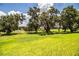 Lush green backyard with view of a lake, providing a serene outdoor space for enjoying nature at 3176 Pearly Dr, Lakeland, FL 33812