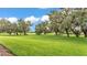 Pastoral acre featuring lush green grass and sprawling trees covered with Spanish moss under a blue sky at 3176 Pearly Dr, Lakeland, FL 33812