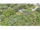 Aerial view of a property with lush trees, a blue roof, and a well-maintained lawn at 3829 Abbott Ln, Lakeland, FL 33810