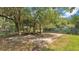 Fenced backyard featuring a concrete slab surrounded by mature trees and lush greenery at 3829 Abbott Ln, Lakeland, FL 33810