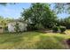 The backyard has a well maintained lawn, greenery, and a large tree at 509 Rob Roy St, Lakeland, FL 33813