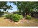 The backyard is full of luscious greenery and a large tree at 509 Rob Roy St, Lakeland, FL 33813