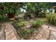 Backyard view showcasing the garden area with brick-lined planters and a shed at 509 Rob Roy St, Lakeland, FL 33813