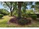 Exterior yard view featuring mature trees and manicured landscaping at 509 Rob Roy St, Lakeland, FL 33813