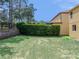 A spacious backyard featuring mature trees, lush hedges, and a retaining wall at 143 Alfani St, Davenport, FL 33896