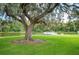 Scenic lake view with a fishing pier and bench seating is enhanced by an old oak tree at 1608 Colonnades N Cir, Lakeland, FL 33811