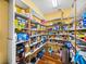 Walk-in pantry features shelving and storage for easy organization at 184 Melissa Trl, Auburndale, FL 33823