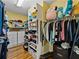Walk-in closet featuring custom shelving, plentiful storage and laminate floors at 184 Melissa Trl, Auburndale, FL 33823