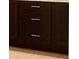 Close-up of dark kitchen cabinets with stylish hardware and plenty of drawer storage at 1851 Daystar Dr, Haines City, FL 33844