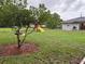 Backyard area showcasing a fire pit, fruit tree, playground, and well-maintained landscaping at 3646 Sherertz Road, Lakeland, FL 33810