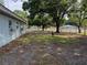 A backyard with trees and a building on the left at 3651 Rifle Range Rd, Winter Haven, FL 33880