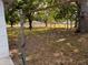 Backyard chain link fence is a bit rusty with trees and grass at 3651 Rifle Range Rd, Winter Haven, FL 33880