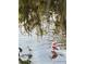 Charming waterfront scene with birds wading in the shallow water, framed by trees and foliage at 5026 N Socrum Loop Rd, Lakeland, FL 33809