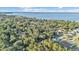 Scenic aerial view of a neighborhood near a large lake, surrounded by lush greenery and trees at 5108 Waterwood Dr, Bartow, FL 33830