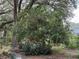 Backyard featuring a fruit tree and mature landscaping at 6116 Sweet Gum Run, Bartow, FL 33830