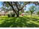 Backyard with a large tree, green grass, and a red storage shed in distance at 111 E Orange St, Davenport, FL 33837