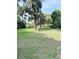 Large, grassy backyard with mature trees, offering ample space for recreation and outdoor enjoyment at 1215 E Edgewood Dr, Lakeland, FL 33803