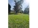 Lush backyard showcasing mature trees, providing privacy and a serene outdoor environment at 1215 E Edgewood Dr, Lakeland, FL 33803