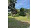 Spacious backyard with mature trees and lush greenery, perfect for outdoor activities and relaxation at 1215 E Edgewood Dr, Lakeland, FL 33803
