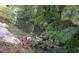 Serene creek with lush vegetation, creating a peaceful and natural setting at 2331 D R Bryant Rd, Lakeland, FL 33810