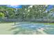 An outdoor community pickleball court with green surface, framed by dark perimeter fence under blue sky at 3980 Sunset Lake Dr, Lakeland, FL 33810
