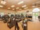 Well-equipped fitness center with modern exercise machines, weights, and mirrored walls at 4125 Prima Lago Cir, Lakeland, FL 33810