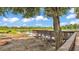 Scenic lake view featuring a charming wooden dock, lush trees, and a clear blue sky with scattered clouds at 6475 Avalon Woods Dr, Lakeland, FL 33813