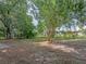 A large, shady backyard with a concrete slab and mature trees at 829 N Lake Ave, Lakeland, FL 33801