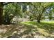 Expansive backyard with mature trees providing ample shade and greenery at 1125 Josephine St, Lakeland, FL 33815