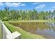 Scenic view of a pond, enhanced by the trees and lush greenery at 2244 Teneroc Trl, Lakeland, FL 33801