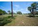 Open space featuring a mix of grassy areas and mature trees, creating a serene and natural environment at 5 Pine Run, Haines City, FL 33844
