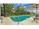 Relaxing screened-in pool area with crystal-clear water, lounge chairs, and lush green surroundings at 535 N Todhunter Way, Lake Alfred, FL 33850