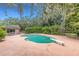 Outdoor swimming pool with diving board, patio and lush landscaping at 6819 Broken Arrow S Trl, Lakeland, FL 33813